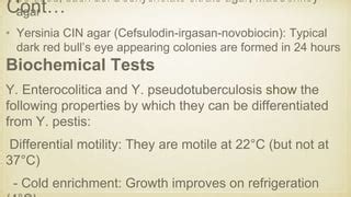 YERSINIOSIS STREPTOCOCCUS SUIS GLANDERS Pptx