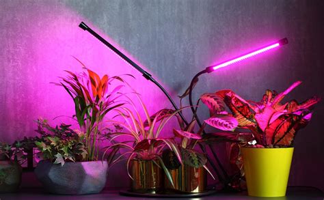 Dammanns Garden Company Shedding Light On Grow Lights