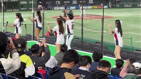 【韓国チアガール⑥】金倒永 応援歌 アジアプロ野球チャンピオンシップ 20231116 Youtube