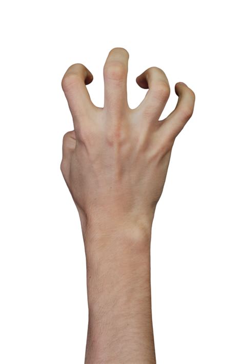 Free Human Hands Claw Back Gestures Realistic Images Png With