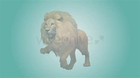 Lion Running Loop 01 Direct Download Videohive 19985088 Motion Graphics