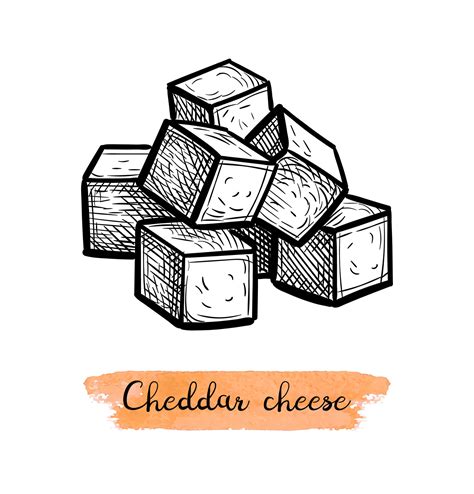 Chopped Cheddar Cheese Ink Sketch Isolated On White Background Hand