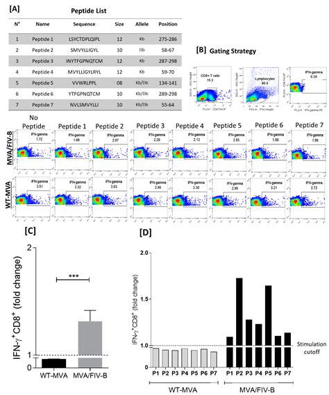 Vaccines | Free Full-Text | Developing a Feline Immunodeficiency Virus ...