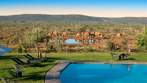 madikwe safari lodge african inspired safaris