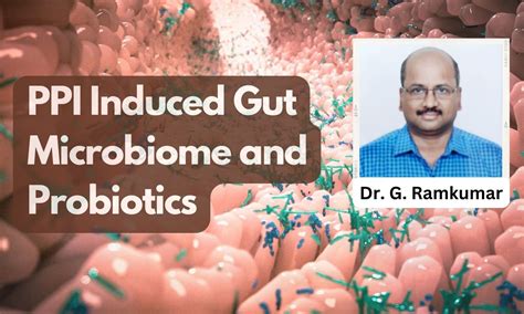 Effect Of Long Term Ppi Use On Gut Microbiome And Potential Role Of