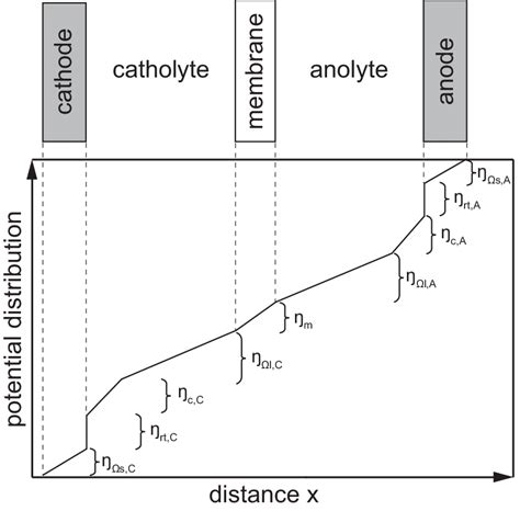 Potential Distribution In A Symmetrical Ecmr With Two Liquid Download Scientific Diagram