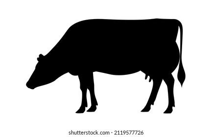 Cow Jersey Silhouette Best Milk Cattle Stock Vector (Royalty Free ...