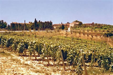Italy - Farming, Crops, Livestock | Britannica