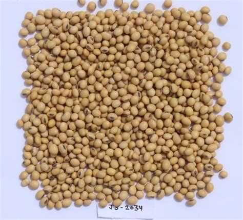 Soybean Js Soyabean Seed For Agriculture Packaging Type Loose