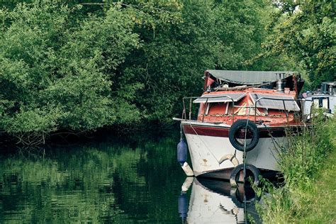 hanging monkey  priest shooting  camera