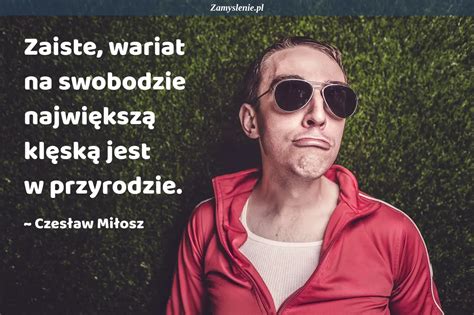 Cytat Zaiste wariat na swobodzie największą klęską jest w przyrodzie