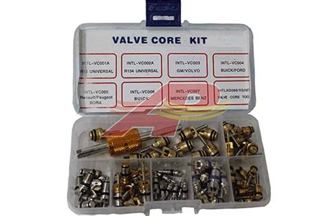 R And R A Master Valve Core Kit Different Valve Cores And Tool