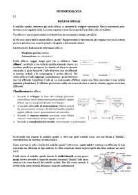 Appunti Di Neurofisiologia Completi Sbobinature Di Neurobiologia