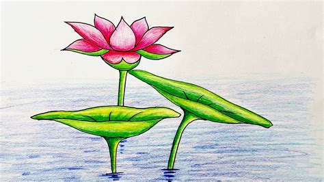 How To Draw Lotus Easily Drawing Lotus Step By Step With Colour