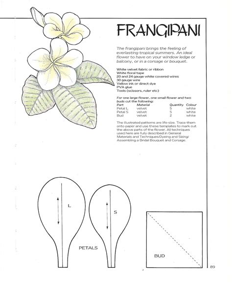 Frangipani 2 Giant Paper Flowers Foam Flowers Ribbon Flowers Diy