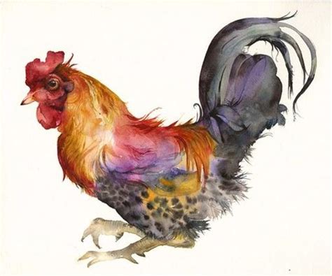 Amazing Rooster Watercolor Paintings - Fine Art Blogger