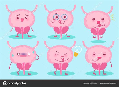 Cute cartoon prostate Stock Vector Image by ©estherqueen999 #169515384