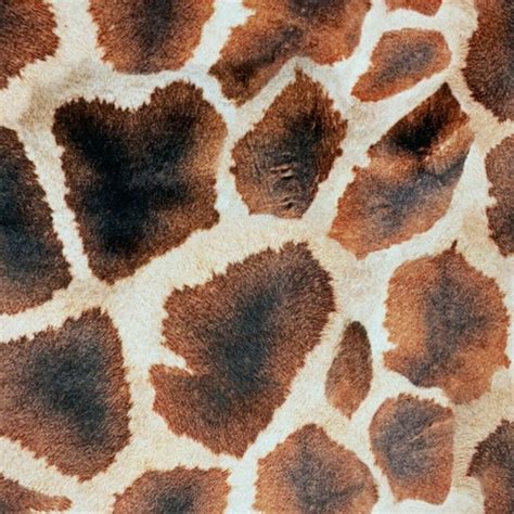 Giraffe Pattern Italian Velvet Animal Skin Printed Fabric Sold Etsy Uk