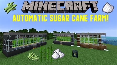 Minecraft Sugar Cane Farm Design