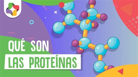 Introducción a las proteínas Biología Educatina YouTube