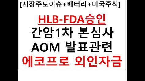 시장주도이슈배터리미국주식 Hlb Fda승인간암1차 본심사 Aom 발표관련 에코프로 외인자금 Youtube