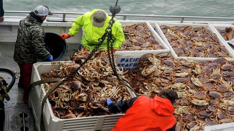 Everyone Should Watch This Fishermen S Video Commercial Dungeness