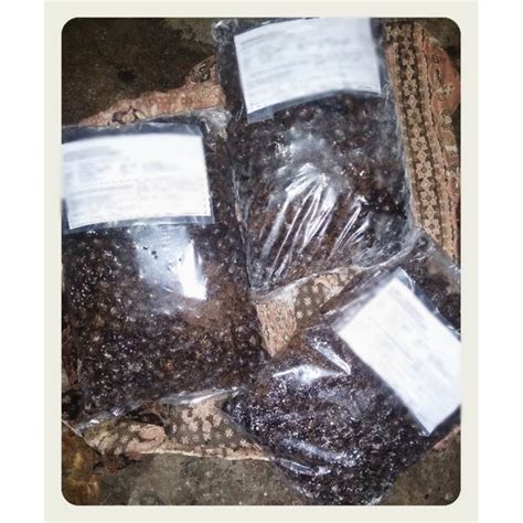 Jual Biji Bibit Karet Pb 330 Unggul 500 Biji Shopee Indonesia