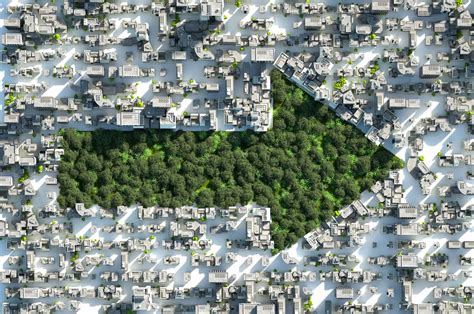 worlds transition  circularity   net  path daily sabah