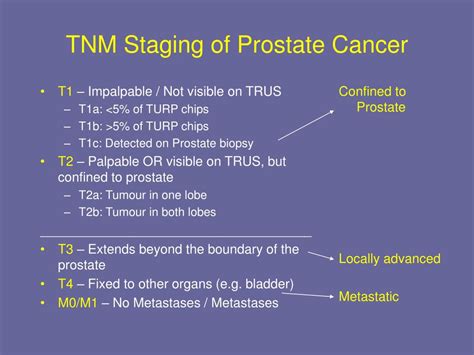 Ppt Investigation And Management Of Prostate Cancer Powerpoint Presentation Id 487162