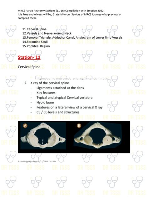 SOLUTION Mrcs Part B Anatomy Stations 11 16 Compilation With Solution