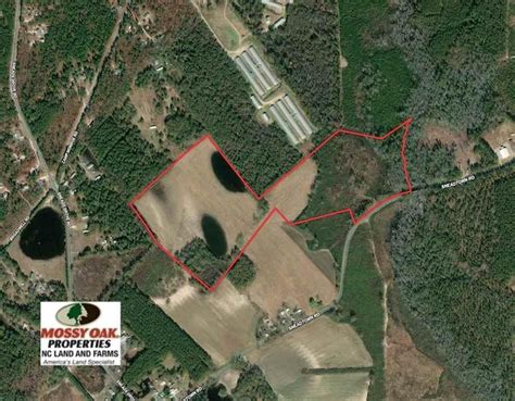 Sold 70 Acres Of Farm And Timber Land For Sale In Scotland County Nc