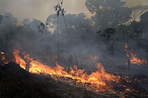 What You Need To Know About The Amazon Rainforest Fires