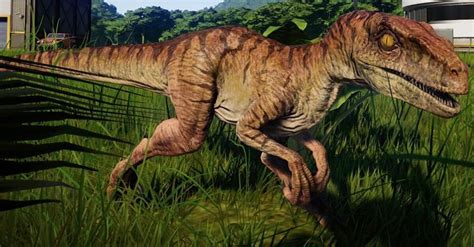 My Favorite Velociraptor Skin Please Jurassicworldevolution Put This And Jp3 Skins In The Game