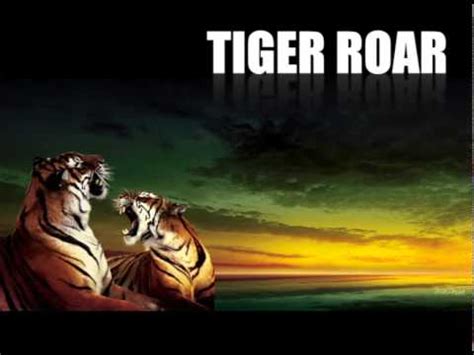 tiger roar sound  high quality youtube