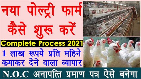 Poultry Farm Kaise Khole How To Start Poultry Farm Poultry Farming