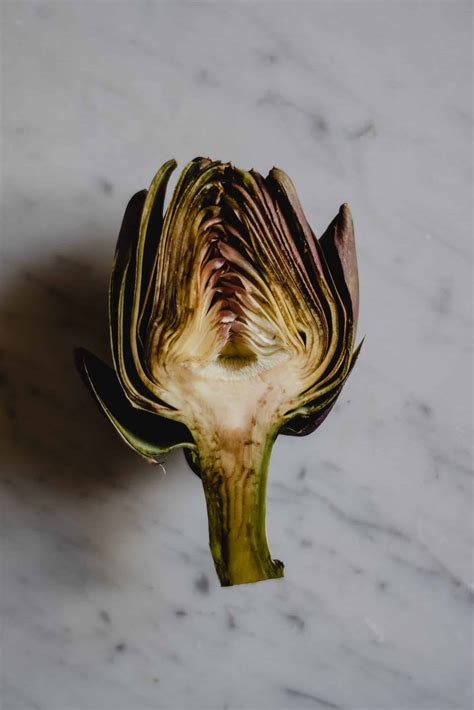 Okey dokey Artichokey... | Blog for Seniors