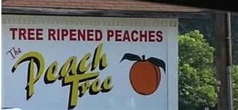 The Peach Tree Orchards (York) - 2021 All You Need to Know BEFORE You ...