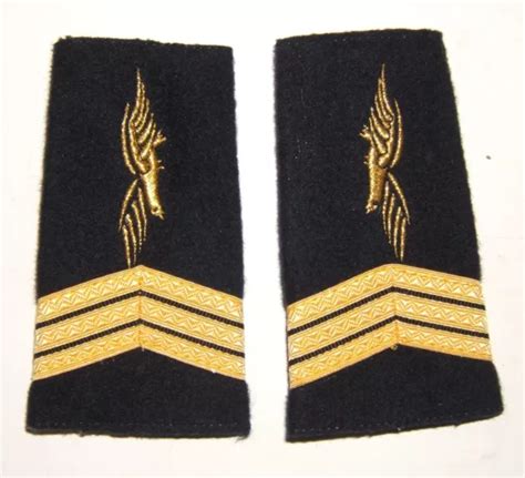 Paire De Fourreaux D Epaules Armee De L Air Aviation Epaulettes Eur