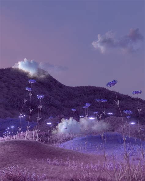 Lavender Fields : aesthetic