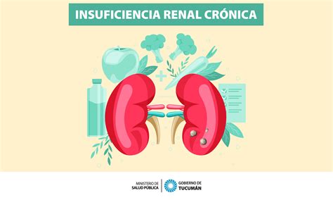 Insuficiencia Renal Crónica Una enfermedad silenciosa en la que la