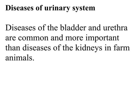 7 Diseases Of Urinary System Part A Ppt