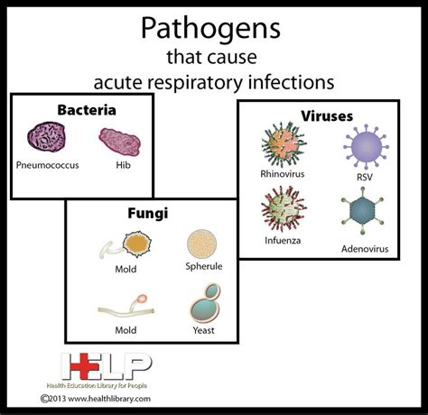 23 best images about Infectious Diseases on Pinterest | To be, Mouths ...