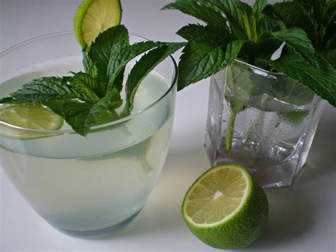 Nenine Kuhinjske čarolije Bezalkoholni Mojito Iliti Mint Limun Sirup