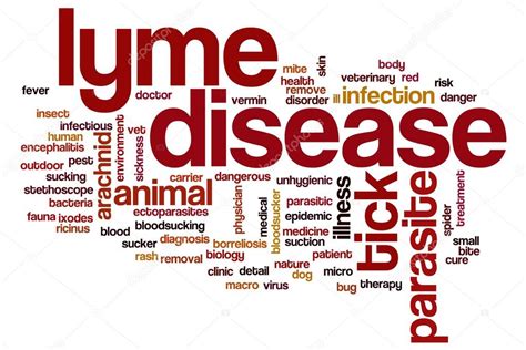 Lyme Disease Word Cloud Concept Stock Photo By Ibreakstock 118658712