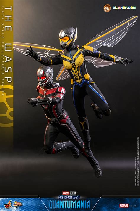 Hot Toys MMS691 Ant Man And The Wasp Quantumania 1 6th Scale The