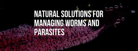 Natural Solutions for Managing Worms and Parasites