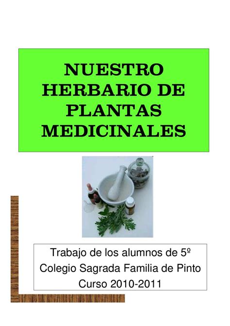 Herbario De Plantas Medicinales By Rafa Martin Issuu