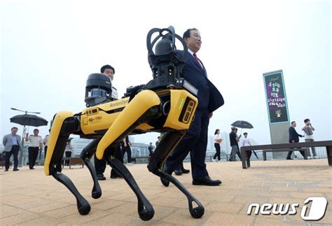 세종 금강보행교 Ai 자율주행 로봇 스팟으로 안전한 관광 명소 된다