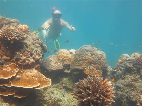 Phuket to Phi Phi snorkeling tours – Snorkeling Thailand