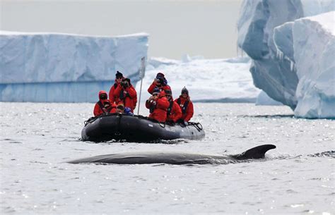 Enjoy Luxury Antarctica Cruises | Silversea